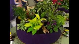 Smart Pots Fairy Garden