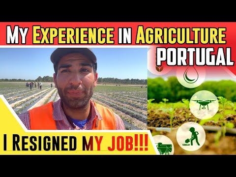 Agriculture work in Portugal | My Experience in Agriculture Work #portugal  | I Resigned from my JOB