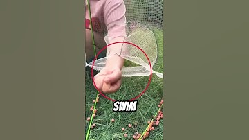 A Dad and Daughter’s Amazing Fish Trap