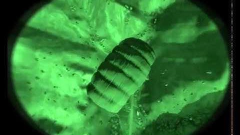 Arma 2 Operation Arrowhead Scenarios Mission E04 Jackal Full Game Walk Through On AMD