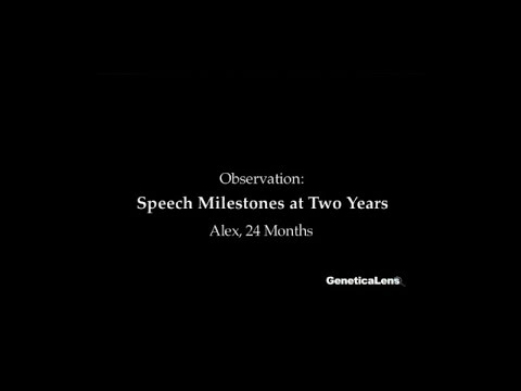 Observation: Speech Milestones at 2 years