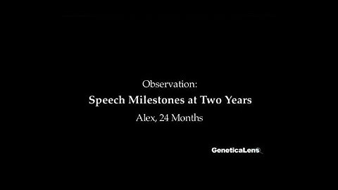 Observation: Speech Milestones at 2 years