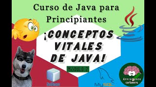 Celebrity Video #4 - Java.-  Conceptos Importantes de Java | Aprendiendo Profile
