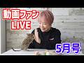 動画ファン5月のライブ配信