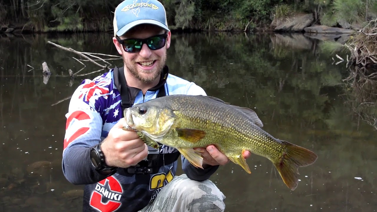Port Macquarie Bass Fishing YouTube