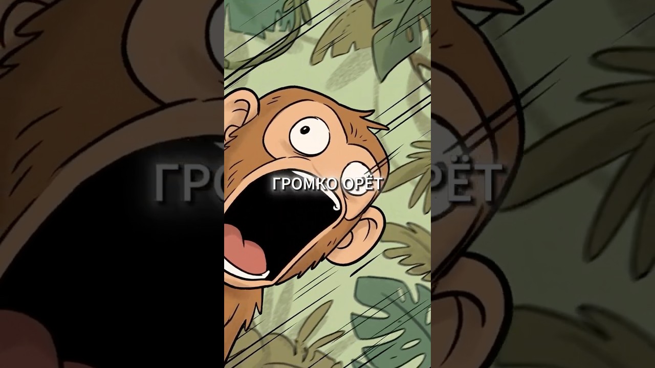 Что, если ты родился на необитаемом острове? 🏝️