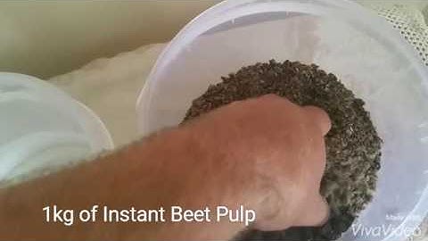 Whitstone Instant Beet Pulp