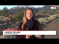 Warm temperatures bringing bears out of hibernation earlier, NDOW advises caution