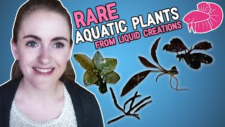 I ordered some really cool rare and uncommon aquarium plants from Liquid Creations, these will be going in my new big tank! Why 
