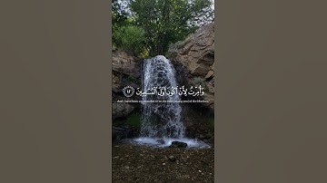 قل إني أمرت أن أعبد الله - سورة #الزمر - القارئ الشيخ #محمد_حسين_عامر#Yemen#رمضان #اليمن#القران#قرآن