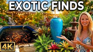 EXOTIC FINDS: Inside the Massive Naples Garden Center That Has Everything [4K]