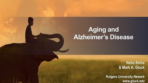 Aging & Alzheimer
