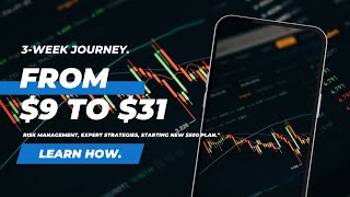 Mastering Forex Trading: +244% Account Growth in 3 Weeks | Risk Management & $500 Plan