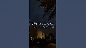 آيات من القرآن الكريم 💞 سورة البقرة 💞 الآية 216