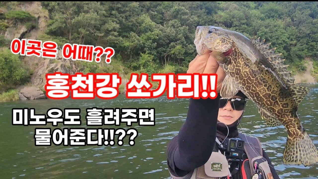 오랜만에 찾은 홍천강쏘가리낚시 미노우도 흘려준다면?!!