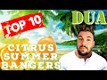 TOP 10 Citrus Summer Colognes  | Dua Fragrances