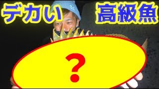 デカいメバルを狙ってたら、さらにデカい高級魚が！！