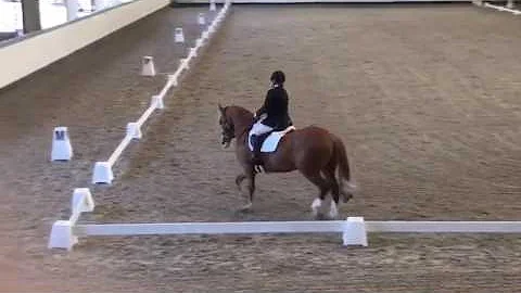 Novice freestyle to music