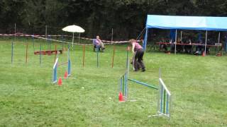 Svdh Grosskrotzenburg J3 Filou