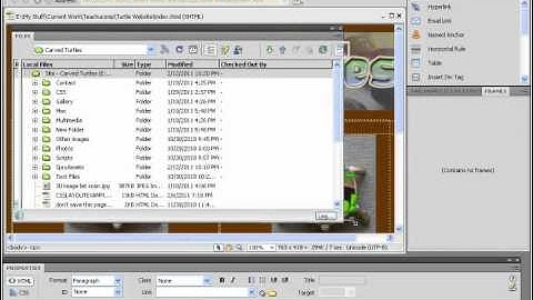 Dreamweaver CS5 Tutorial Connecting to a Remote Site Adobe Training Lesson 11.4