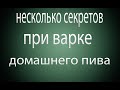 Как сделать домашнее пиво прозрачным