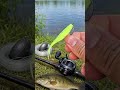 Beginner Fishing Tips You Need to Know Before Your First Cast👍👍 #fishing #bassfishing #fishingtips