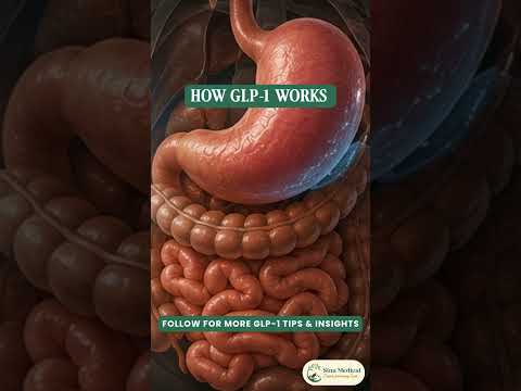 How GLP-1 works?