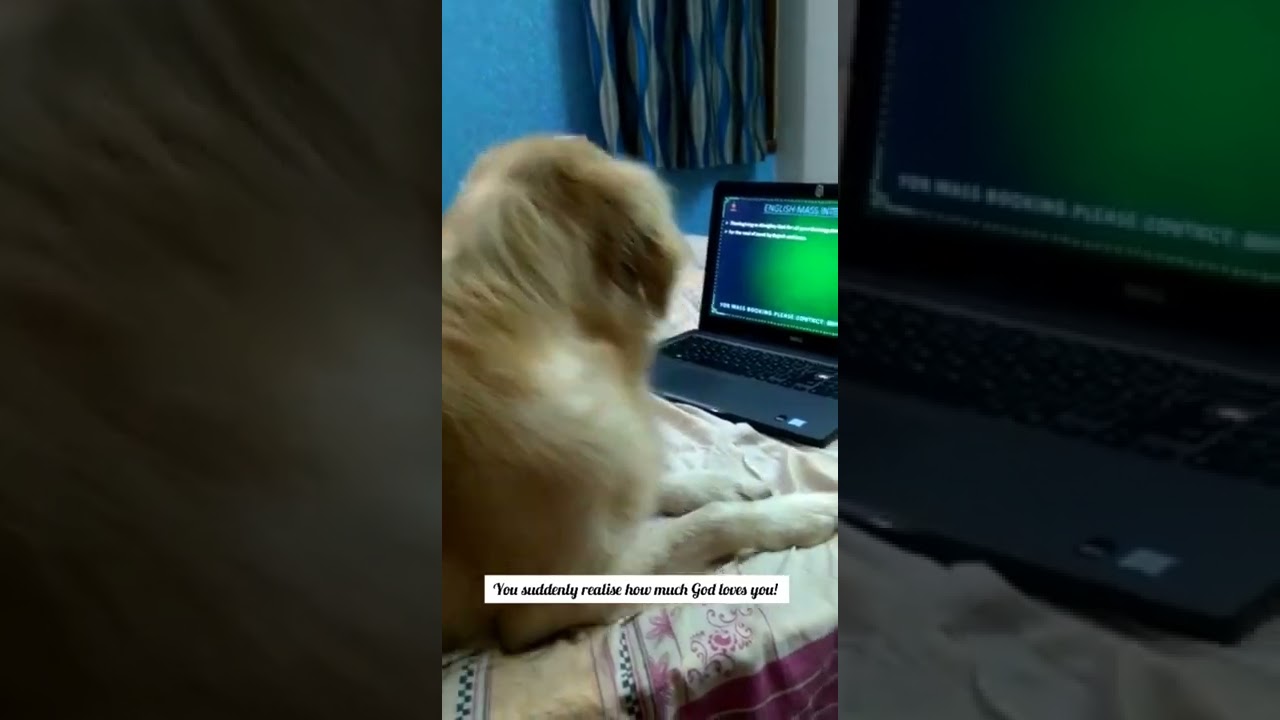 When you're adopted by a catholic family & Sunday masses are a must 