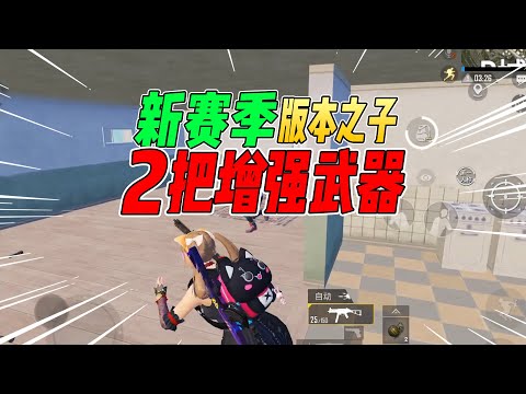 不摸鱼：新赛季版本之子的2把武器！都被官方大大加强过！