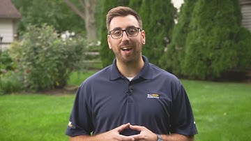 Army Worm Detection and Treatment