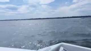 2015 oneida lake chicken wing run (28 pantera)