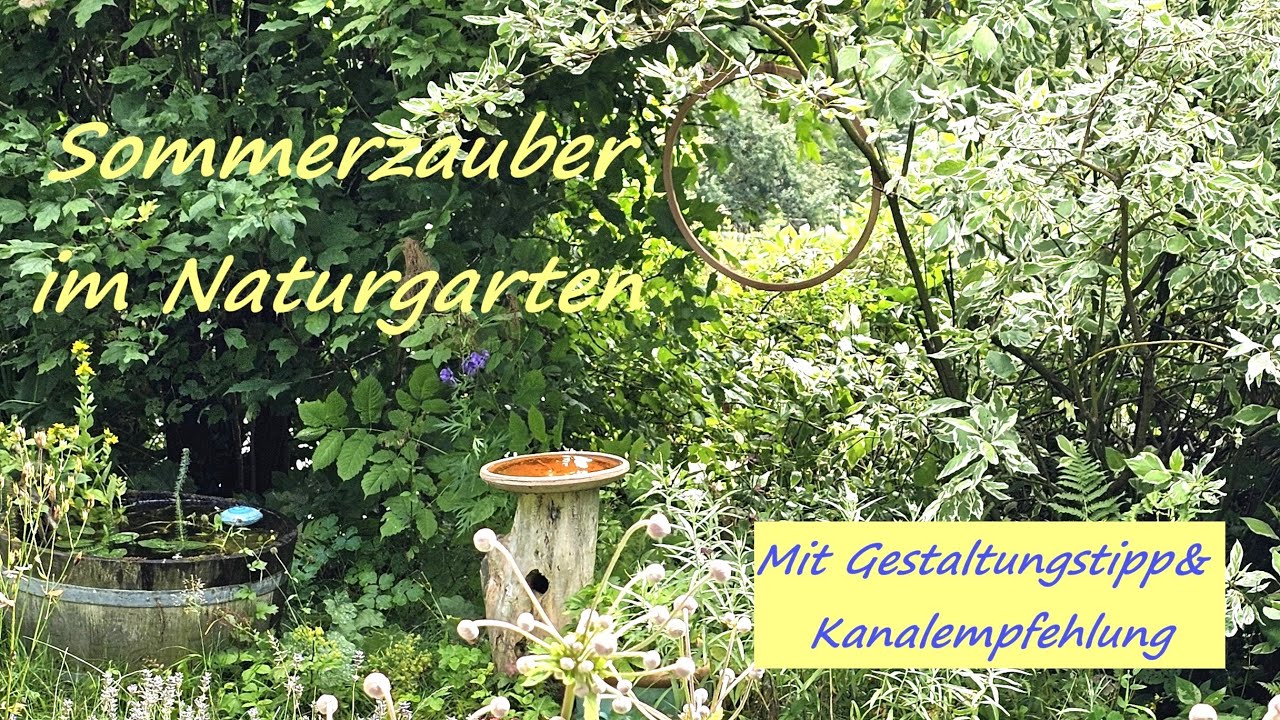 Sommerzauber im NATURGARTEN im Juni/Juli (mit Gestaltungstipp)