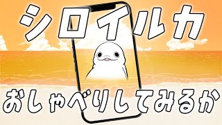 【突発縦型配信】おしゃべりシロイルカのお雑談【白・まろやか】 #shorts