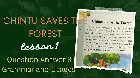 Chintu Saves the Forest|Class 4|Lesson 1|TS Gyan|Question Answer|Grammar and Usages