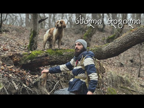 ლაშქრობა ხევში ტაისონთან ერთად - თავშესაფრის მოწყობა, ხე დამეცა ?!