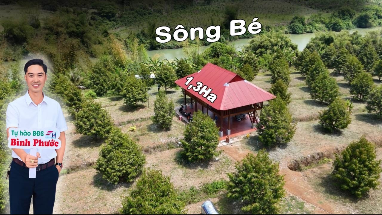 MƠ MỘNG Với Nhà Vườn Sầu Riêng Có Thể Ngắm Nhìn Con Sông Xanh , Vừa Trồng Trọt Vừa NGHỈ DƯỠNG .