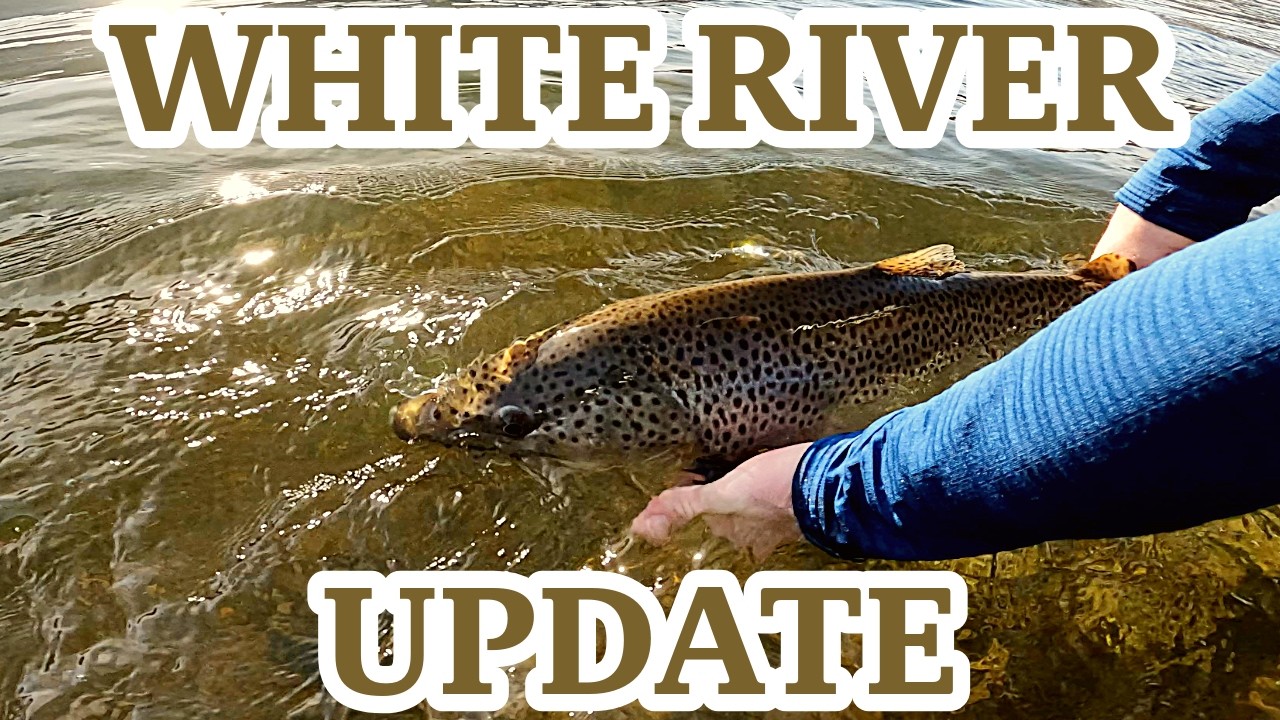 Arkansas White River Update 2026