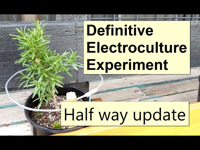 Electroculture Cannabis : r/GrowingMarijuana