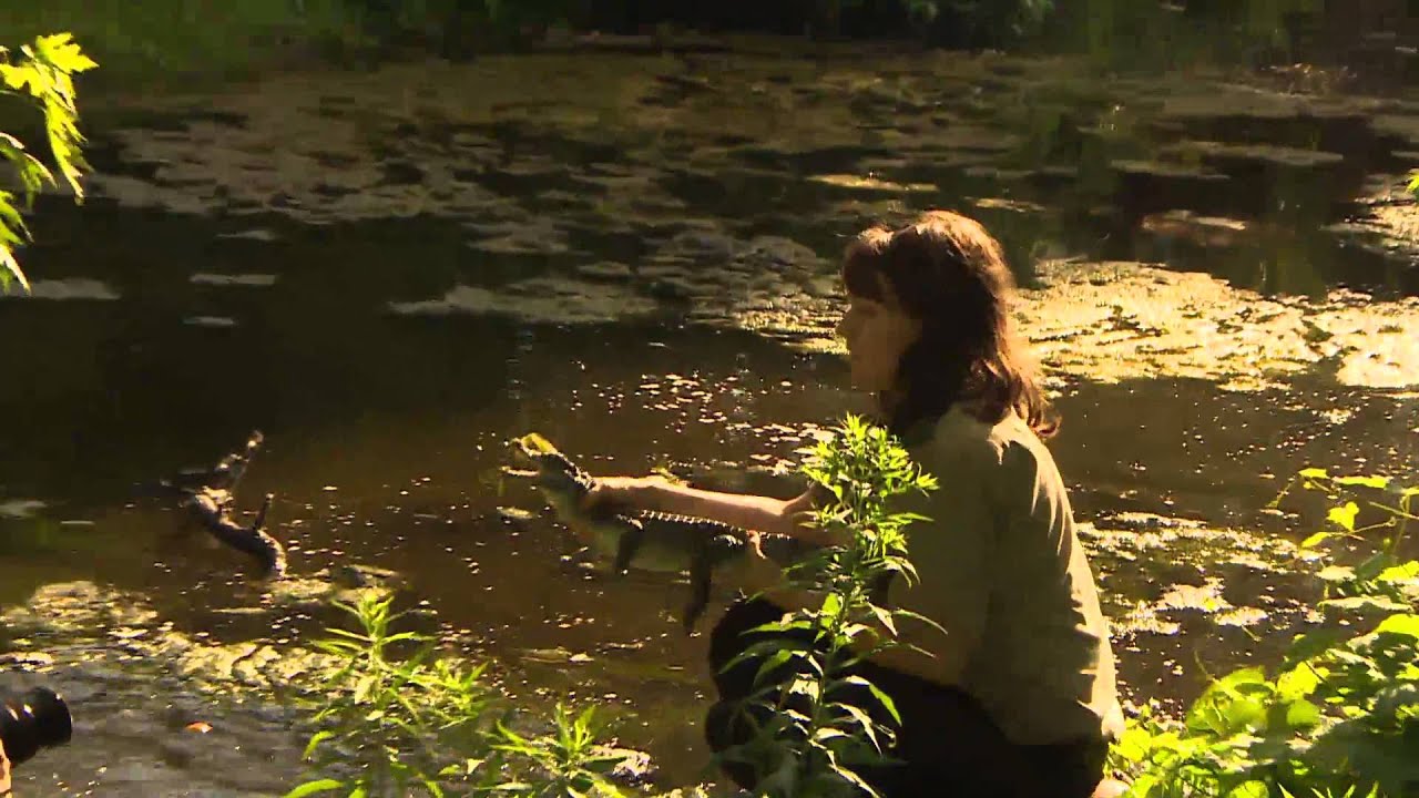 Caiman captured near Toronto's High Park