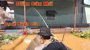 Câu Cá Tra, Cá Vồ Đém, Cá Cóc, Lủi Đại Vô Bè Không Ngờ Có Cá Lớn | Trần Đại Fishiing