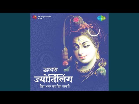 Om Namah Shivay Dhun