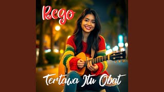 Download Lagu Sore Di Sawah Hijau MP3