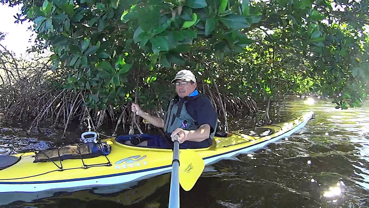 Necky Kayak, in Florida Mangrove with sony action camera ...