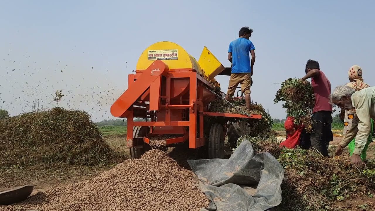 Mufli (peanut) thresher # prakash brand Contact - 9897591801 or 9897591803 or 9113979186