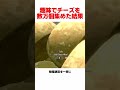 世界中のチーズを数万個集めた結果