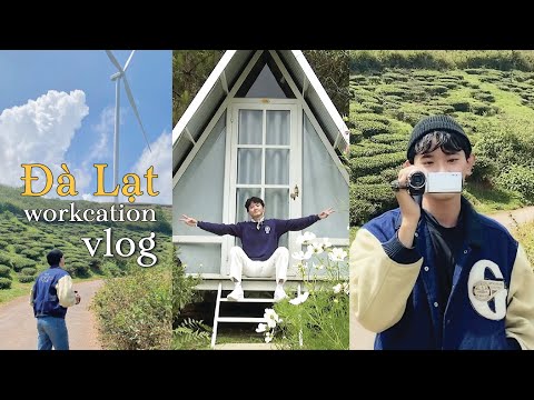 vlog ĐÀ LẠT | Một Đà Lạt thật khác ep.01 | workcation - homestay - coffee - review