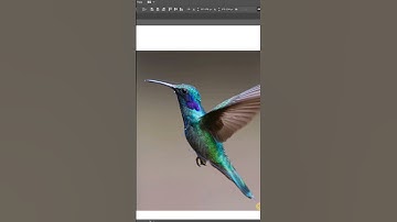 Convert Your Image Into Vector In Adobe Illustrator | Illustrator tutorial #shorts #shortvideo