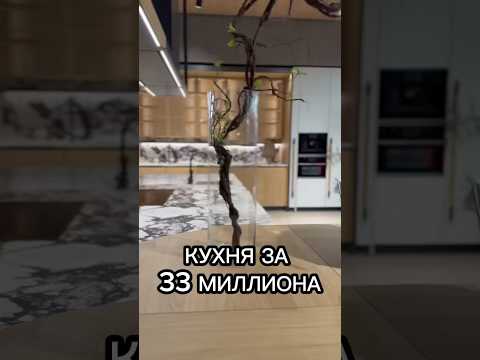 КУХНЯ ЗА 33 МИЛЛИОНА