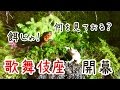 日本アクアテラリウム【経過報告＆エサやり】