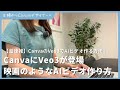 【速報】CanvaにVeo3が登場！サウンド付き映画のようなAIビデオを作る方法